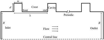 CFD analysis of Fe transfer on roughened wall caused by turbulent lead-bismuth eutectic flow
